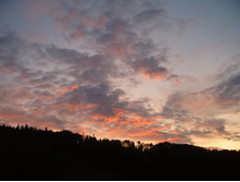 ������ ����. �����