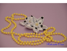 DSC_0509 (����������).JPG