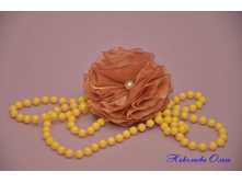 DSC_0512 (����������).JPG