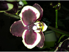 ����������� 009.jpg