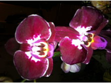 ����������� 020.jpg