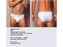 Y �����-������� �������_0002_YBM 3313_001.jpg