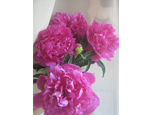 ��� ���.jpg