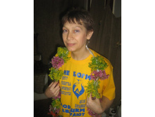 ���� ������.jpg