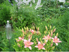 ����� ��������