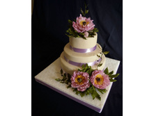 ������ � ������� ����.jpg