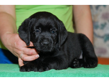 ��������� ������� (5).jpg