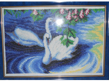 ���� �������.JPG