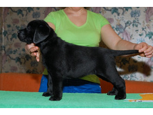 ��������� ������� (1).jpg