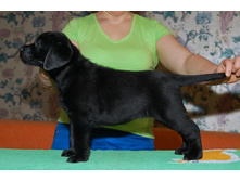 ��������� ������� (2).jpg