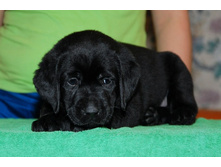 ��������� ������� (4).jpg