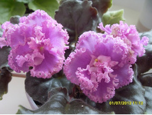 ��-��������� �������