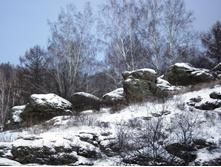 �� ������ �� ����