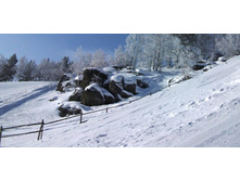 ����� �� �������