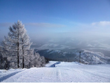 ����� ������� 5-�� ���������� ���