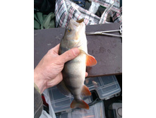 IMG_20120707_102632.jpg