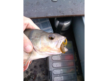IMG_20120707_102643.jpg