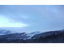 �������!