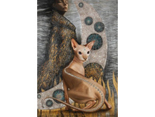 ������ ���