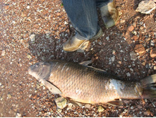 � ��� ����� ����� � ��� �� ������ ����� ������