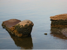 ������-������