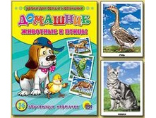 �������� �������� � �����         ISBN: 978-5-378-03082-8  ���������� �������: 16  ������������ ��������� ������������� �������� ������� ����������� ������� � ���������� �����, ������� ������� ������, ������� ����������, ����������������, ��������. ������