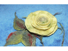 ���� �����-�������