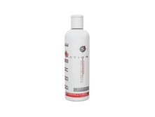 DA_���� 2 (�������������� �������� �������� ����)-250��.jpg