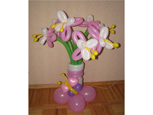 ������� �����