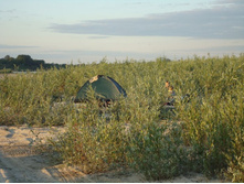 DSC08826.JPG