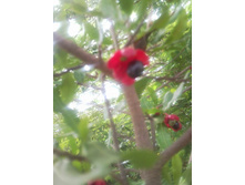 �������� �����-�����