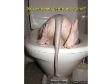 ����� �����.jpg