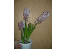 13.01.2010 23:36:36