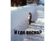 getImage.jpg