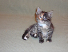 ��� ���� � ��������...� 2008