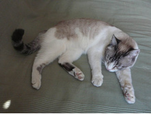 ����� � �����? � ����� � ���� �������!