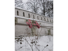 �����-�� ��������� :) �������� :))