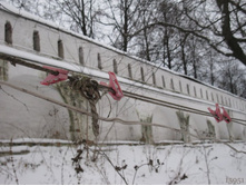 ��� �� - �� ���� ������� ������ :(