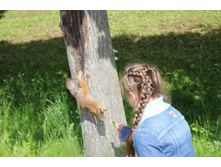 ����� ���� 2012 539.jpg