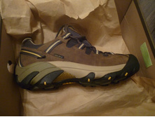 ����������� Targ**hee II, Bri*ndle/Ochre	 8(40,5)(26��) 1428.57�