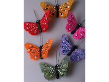 ������� �� �������1.JPG