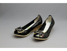 T8628-3 ������ ����, ����