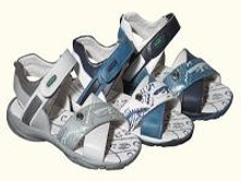 ��������� ���26-31