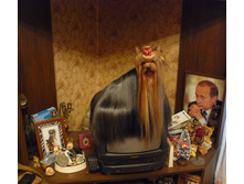 17.01.2010 1:21:51