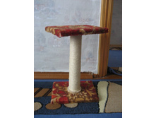 ������ ������� (��� �������)