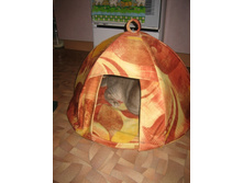 �����-�����