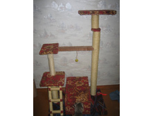 ������ �������