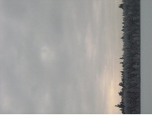 17.01.2010 22:36:14