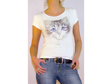 ������ 210.jpg