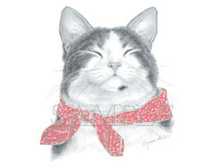 �������� 2620, 480 ������ ��� ������